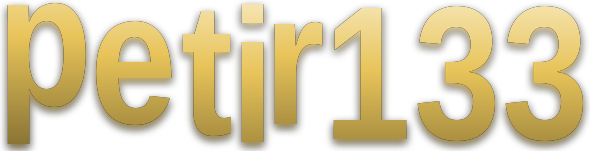 petir133 logo